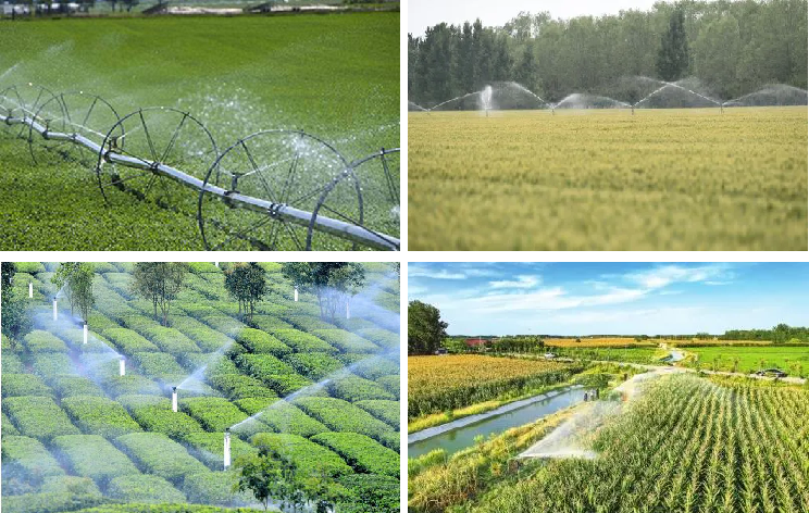 01farmland 01farmland