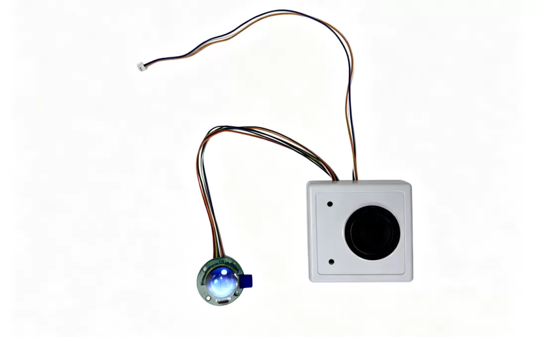 AI Companion Product: Integrated Hardware - Software Solution